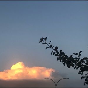 Meet your Posher, Arrita